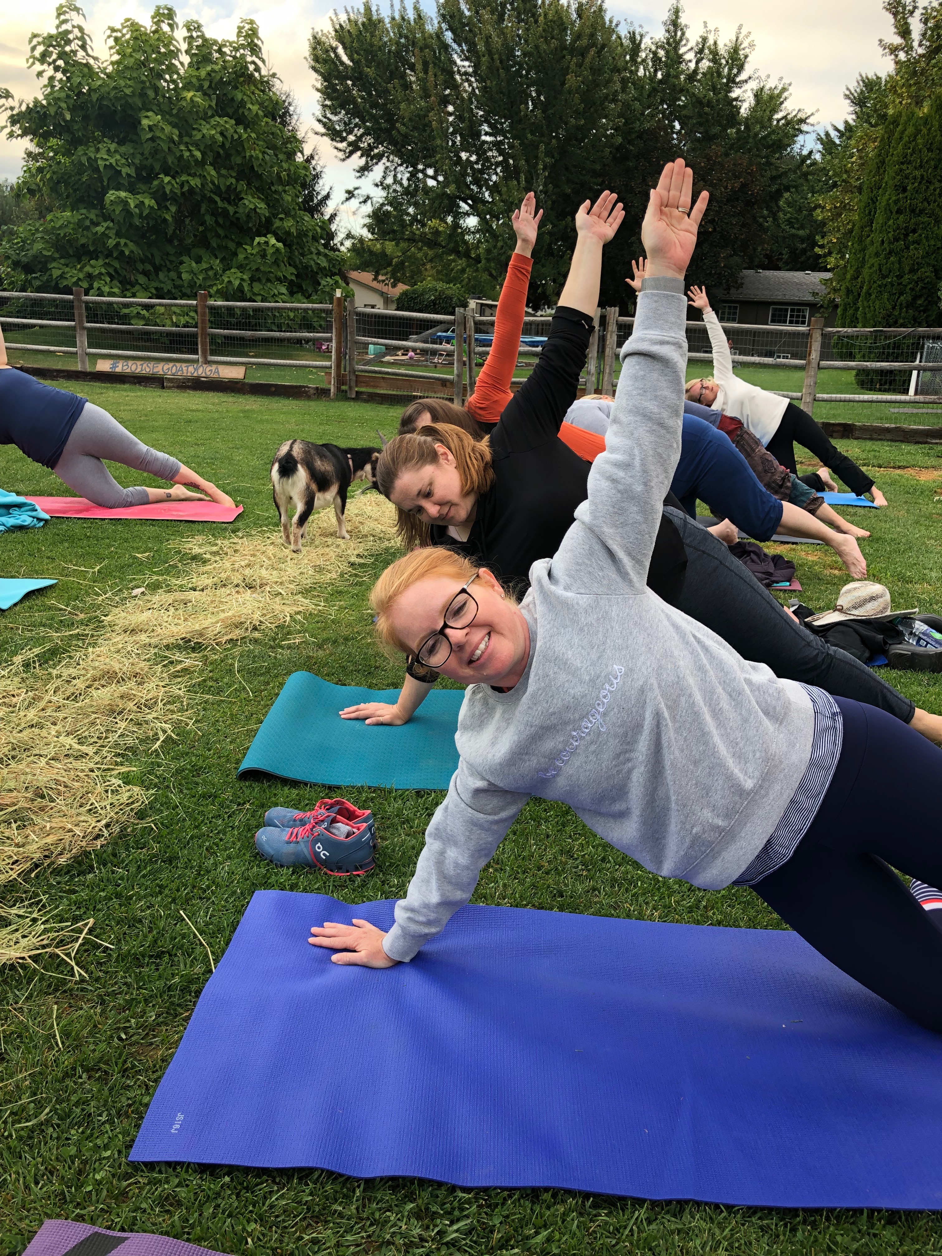 Boise Goat Yoga with Friends